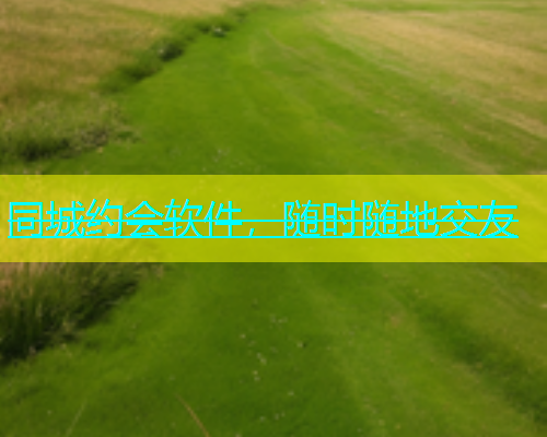 同城约会软件，随时随地交友  第1张
