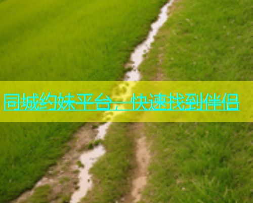同城约妹平台，快速找到伴侣  第1张
