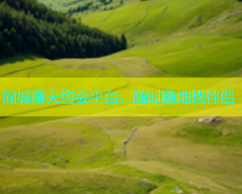 同城聊天约会平台，随时随地找伴侣  第1张