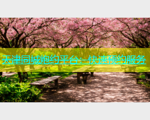 天津同城炮约平台：快速预约服务  第1张