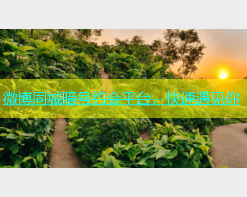微博同城暗号约会平台，快速遇见你  第1张