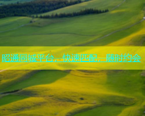 昭通同城平台，快速匹配，随时约会  第1张