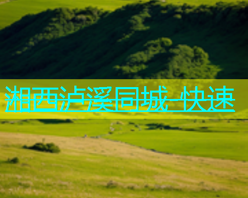 湘西泸溪同城-快速  第1张