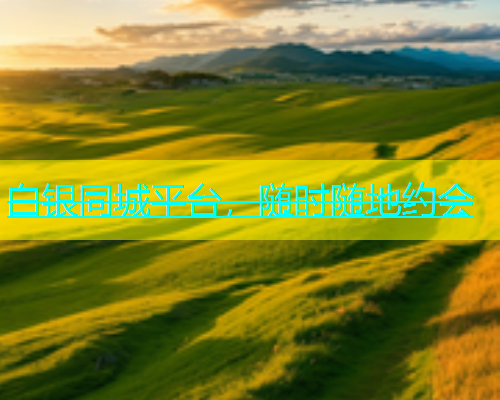 白银同城平台，随时随地约会  第1张
