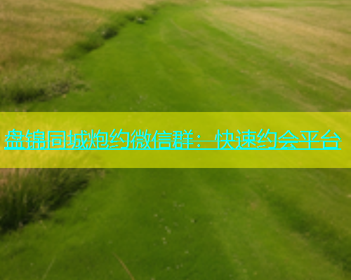 盘锦同城炮约微信群：快速约会平台  第1张