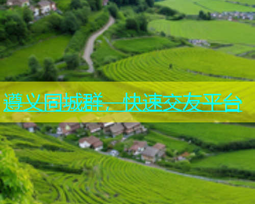 遵义同城群，快速交友平台  第1张