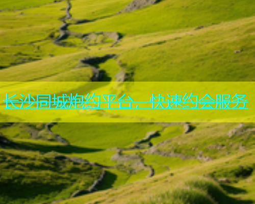 长沙同城炮约平台，快速约会服务  第2张